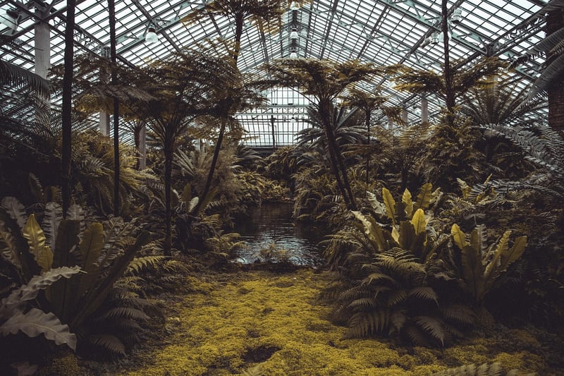 Exoplanet Ecosystems