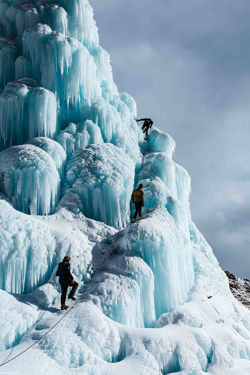 Stellar Expeditions